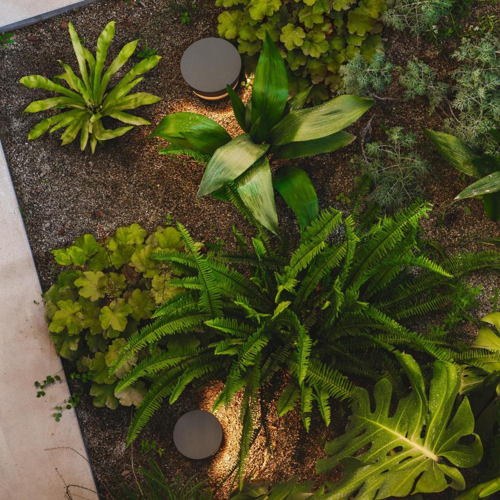 Dots Bollard, Small, Halo, Beige, LED, IP65