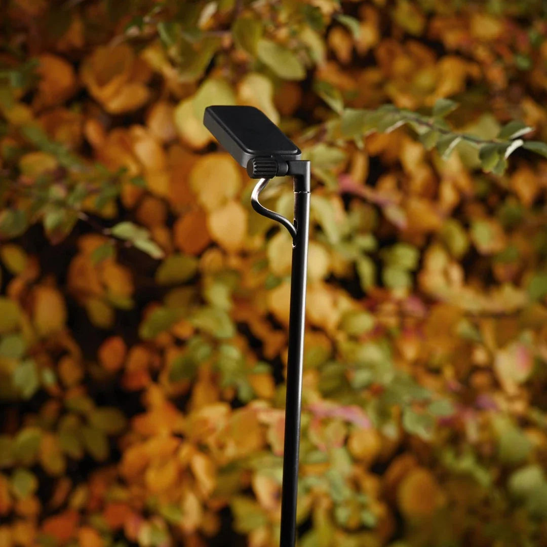 Flia Floor, Single, 75 cm H, LED, 2.5W, DALI Dim or On/Off, IP65