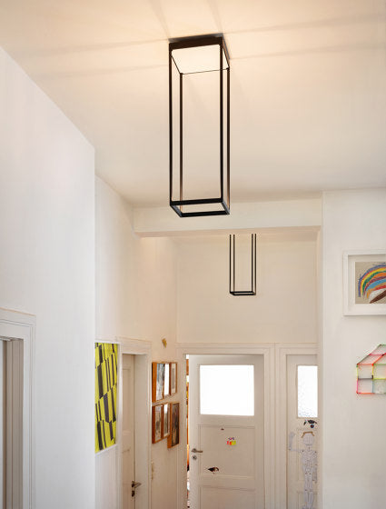 Reflex Ceiling 200 x 600 Black in Entrance with High Ceilings