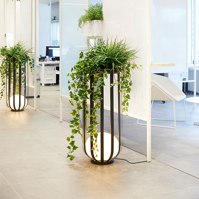 Bols outdoor floor lamp tall black in hallway with plant accessories