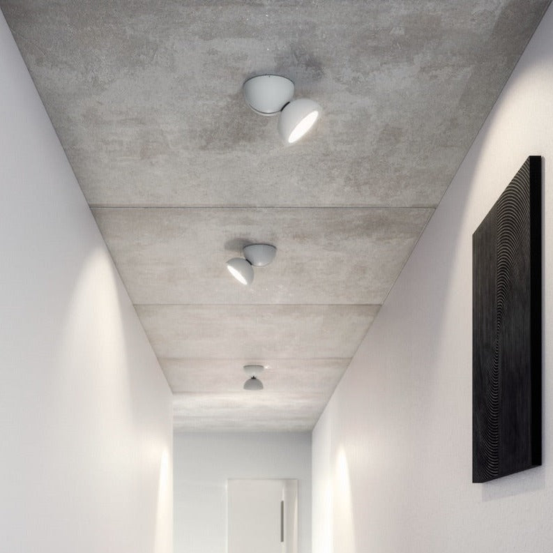 Dodot Adjustable Ceiling or Wall Spot Light, Black, LED, Phase Dim, IP20