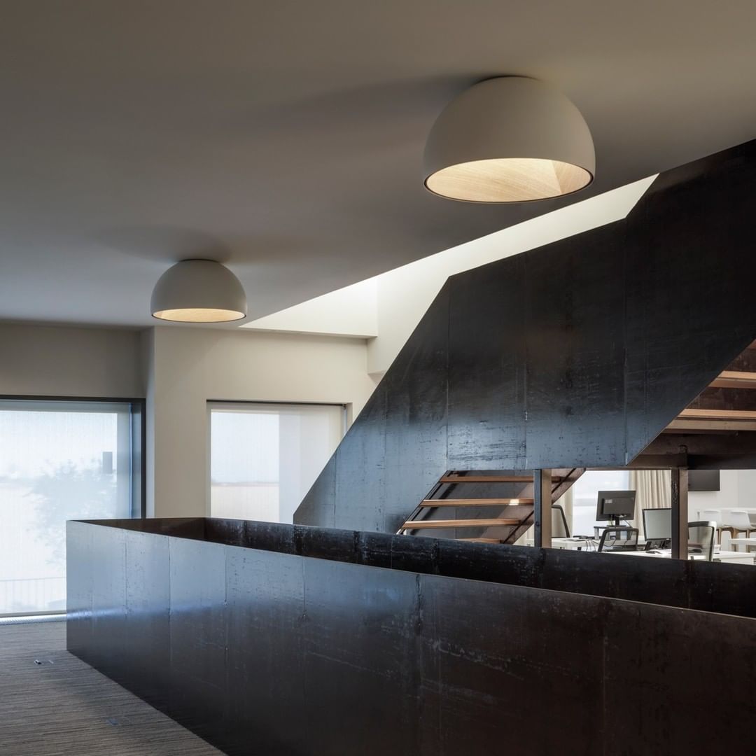 Duo Ceiling, Dome Tilted Large, 70 cm ø, Graphite with Wood Interior, 26.5W, LED, Dim