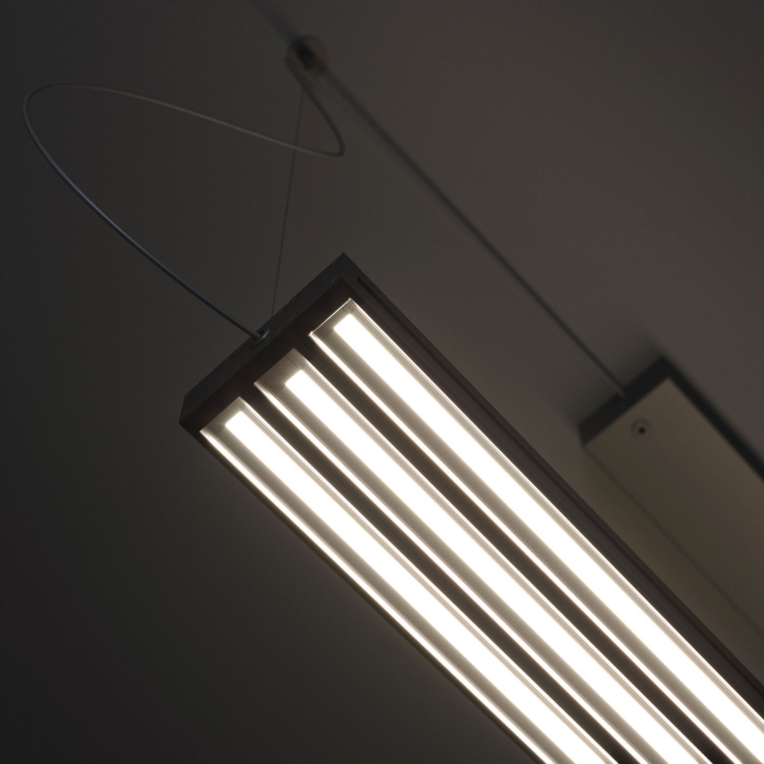 Light Glide Pendant, Adjustable, LED, IP40