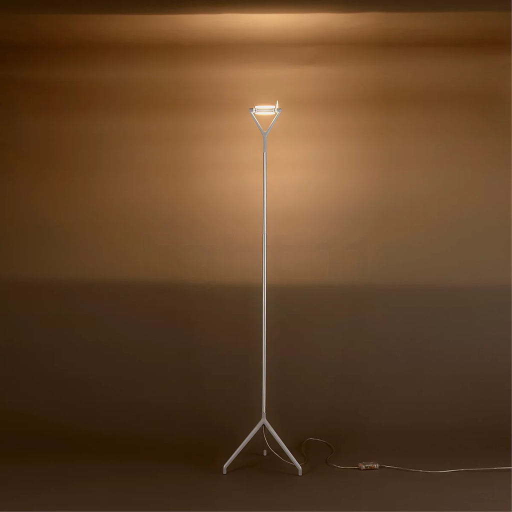Lola Floor Lamp, Telescopic and Adjustable, Black, R7s, Foot Dimmer, IP20