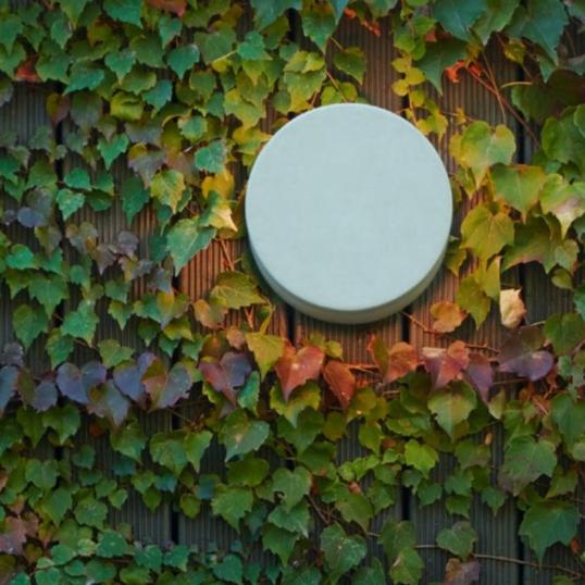 Nui Wall, Concrete, LED, 14W, DALI Dim or On/Off, IP65