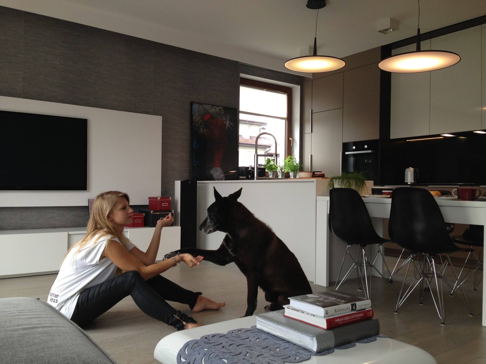 Skan Pendant, 60 cm, Black, 13.9W, LED, Dim