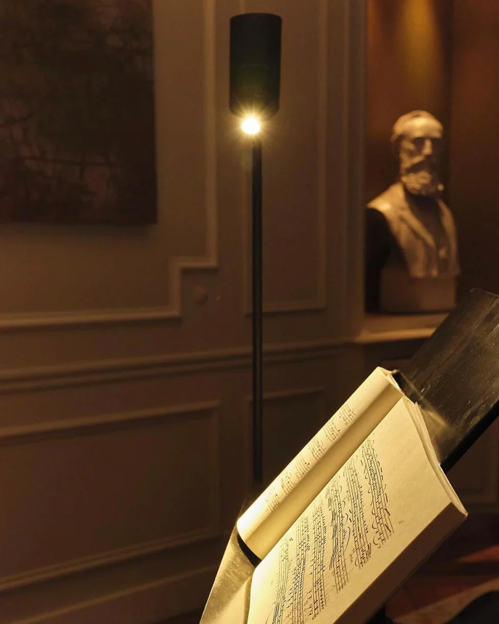 Vision Adjustable Reading Floor Lamp, Black, LED, Thumbswitch Dim x2, IP20